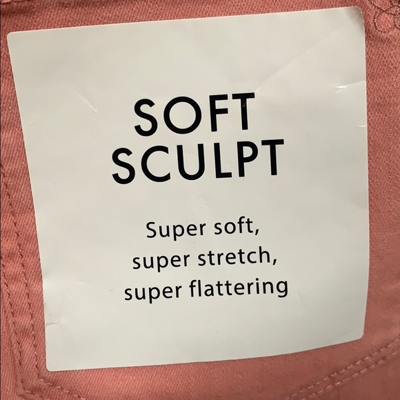 CLEARANCE! NWT Jessica Simpson Rosette Skinny Jean - Picture 5 of 8